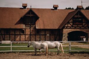 Equestrian Property